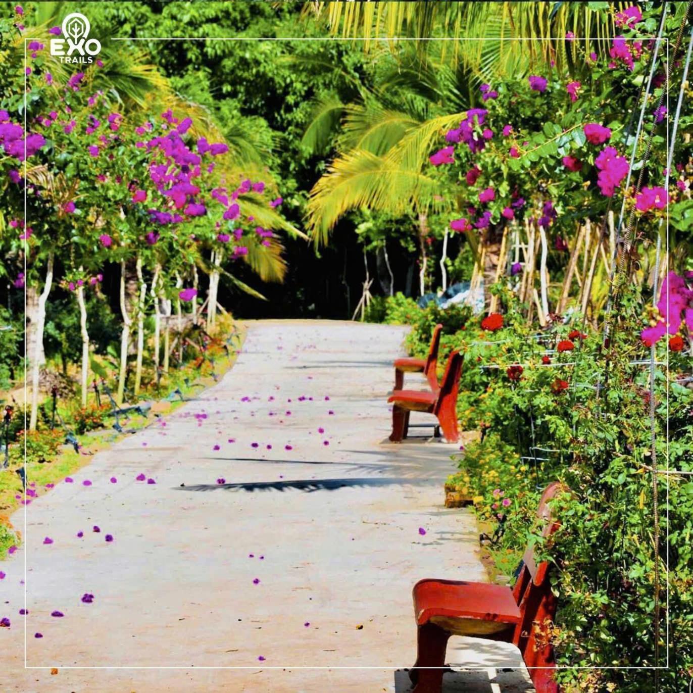 Phu Dien Homestay Cat Tien Luaran gambar